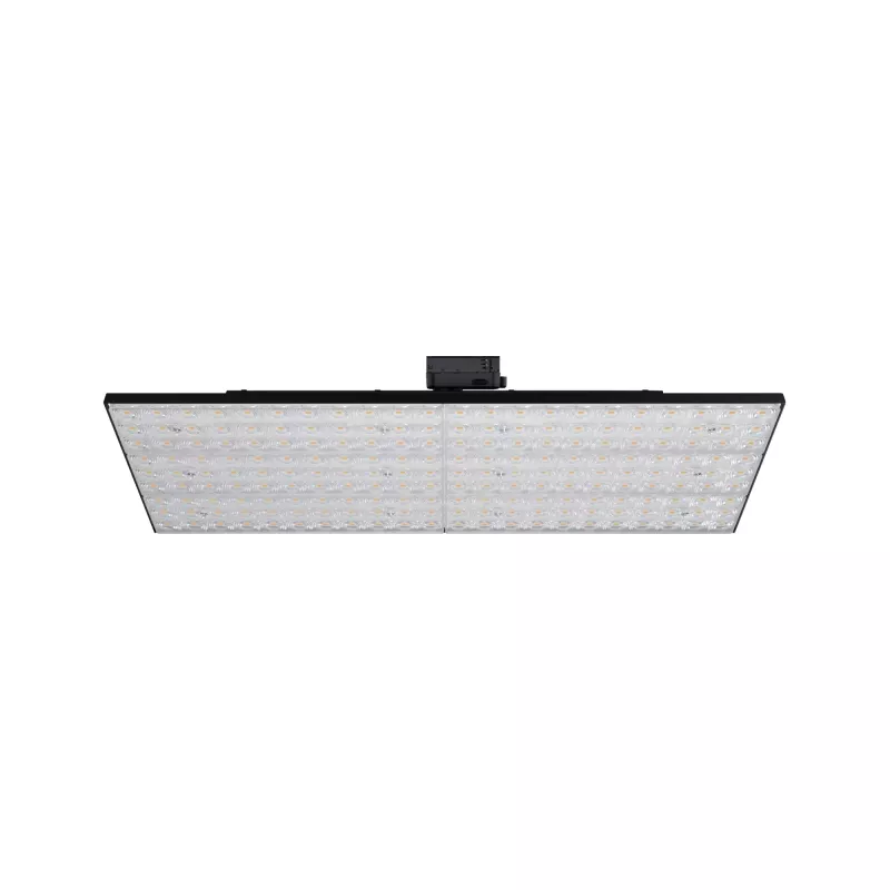 Panel LED para plataforma ProRail3, 6600 lm, 75 W, 3000 K, 230 V.
