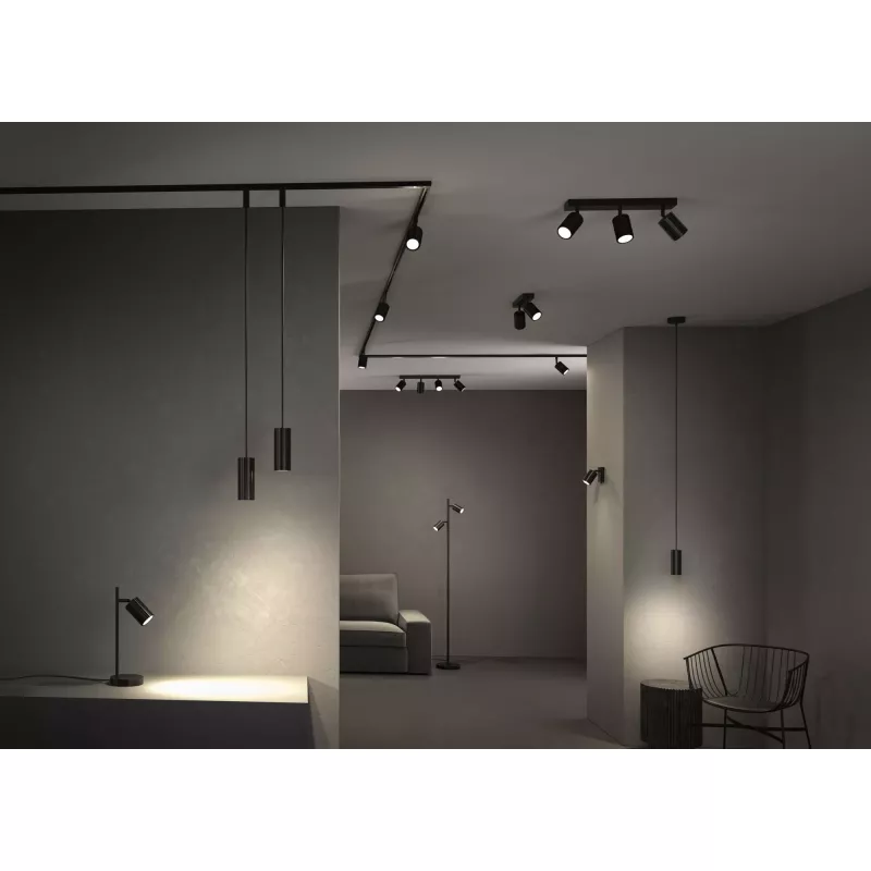 Spotlight Lirena GU10 max. 10W Noir mat Métal
