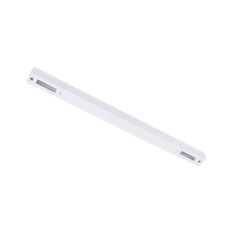URail Alimentation électrique Zigbee 3.0 Alimentation centrale 304x21mm max. 100W Blanc signal PAULMANN 15 - Cimaise Tableau 