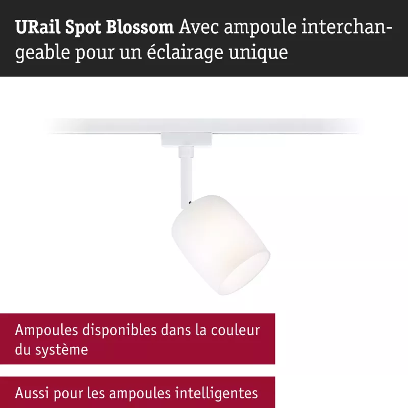 URail Spot sur rail Blossom G9 max. 10W gradable 230V Blanc signal PAULMANN 14 - Cimaise Tableau 