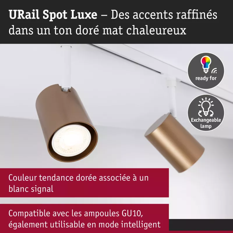 URail Luxus-Schienenstrahler GU10 max. 10 W dimmbar 230 V Mattgold, Signalweiß PAULMANN 19 - Cimaise Tableau 