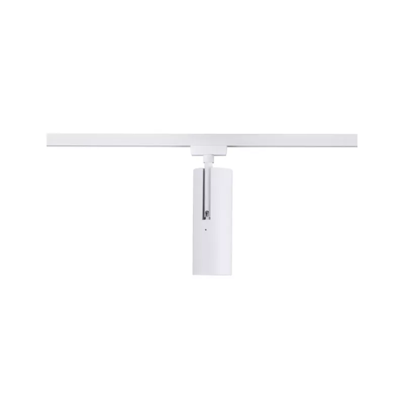 URail Track spotlight Theron Individual spotlight 1020lm 11W 3000K dimmable 230V Signal white PAULMANN 14 - Cimaise Tableau 