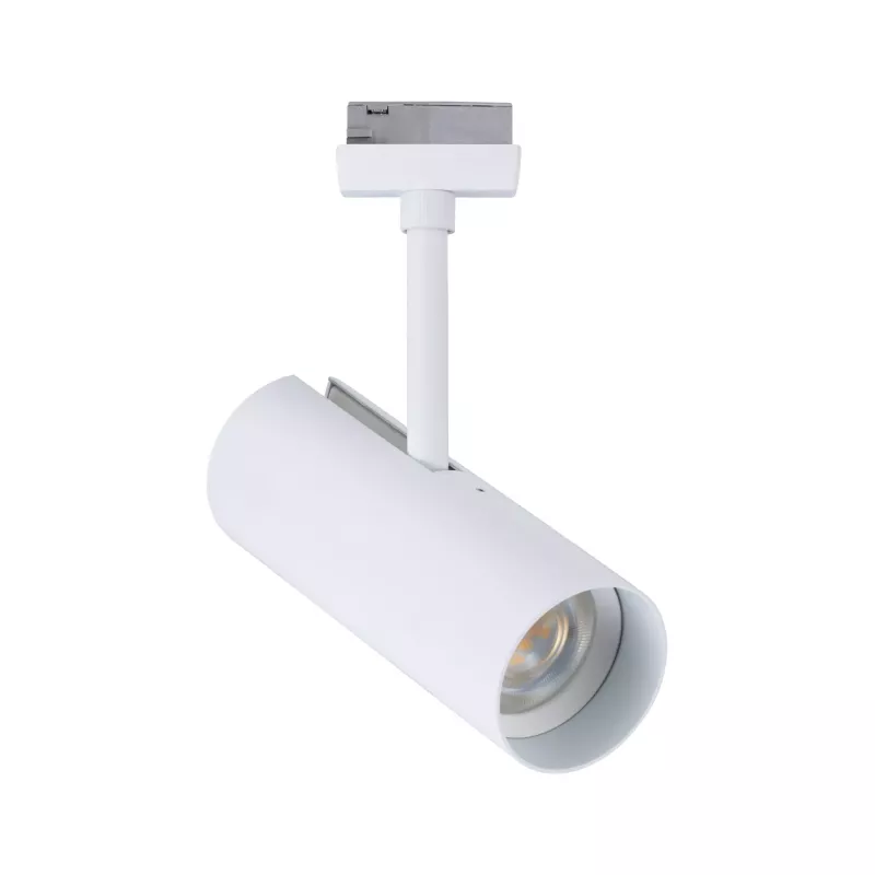 URail Track spotlight Theron Individual spotlight 1020lm 11W 3000K dimmable 230V Signal white PAULMANN 20 - Cimaise Tableau 