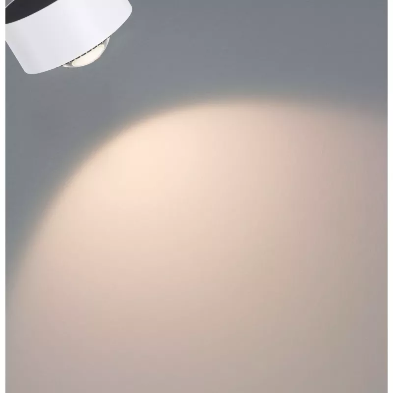 URail Spot sur rail Aldan Spot individuel 470lm 8W 4000K gradable 230V Blanc signal