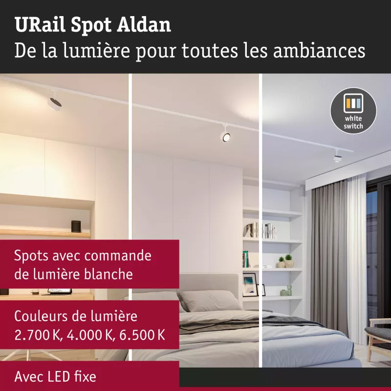 URail Spot sur rail Aldan Spot individuel 500lm 8W White Switch 230V