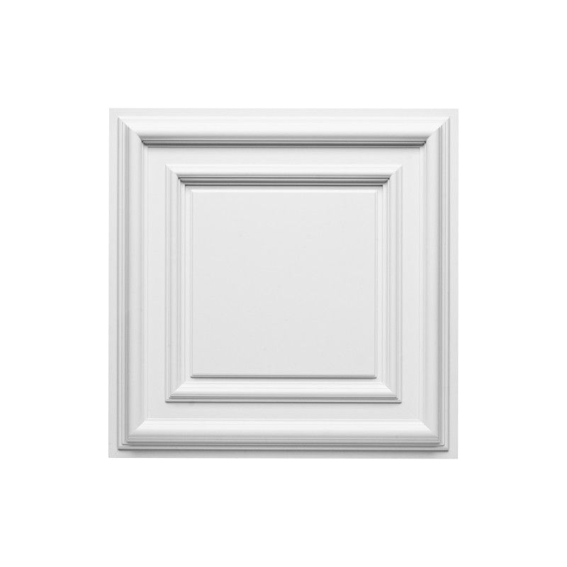 F30 ORAC Panel Durofoam L59.5 x H4,3 x L59,5 cm ORAC DECOR 1 - Cimaise Tableau 