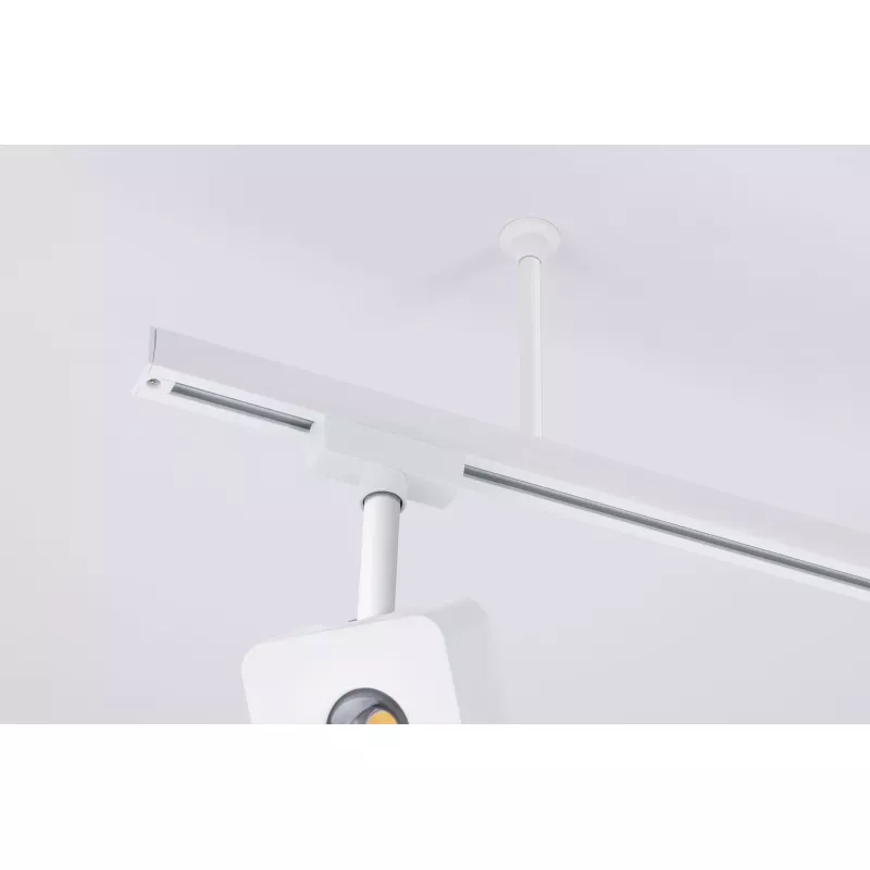 Accesorios URail Suspensión de carril 105mm PAULMANN 20 - Cimaise Tableau 