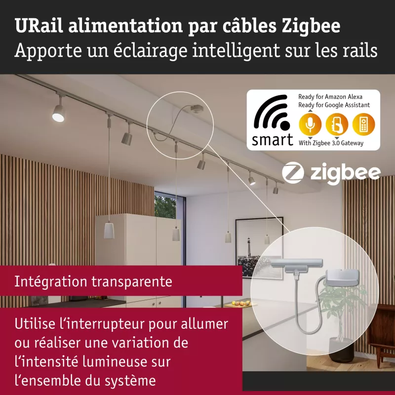 URail Zigbee 3.0 power supply, 1m max cable. PAULMANN 29 - Cimaise Tableau 