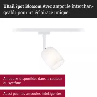 Foco para riel URail Blossom G9, máx. 10 W, regulable, 230 V - système d'accrochage et décoration - détail 5