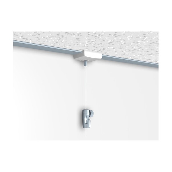 Newly game false ceiling 5 kg perlon 200 cm Newly 3 - Cimaise Tableau 