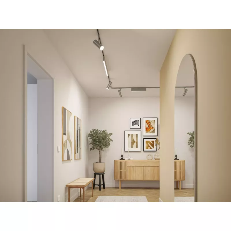 URail Schienenstrahler Theron Einzelstrahler 1020 lm 11 W 3000 K dimmbar 230 V PAULMANN 41 - Cimaise Tableau 