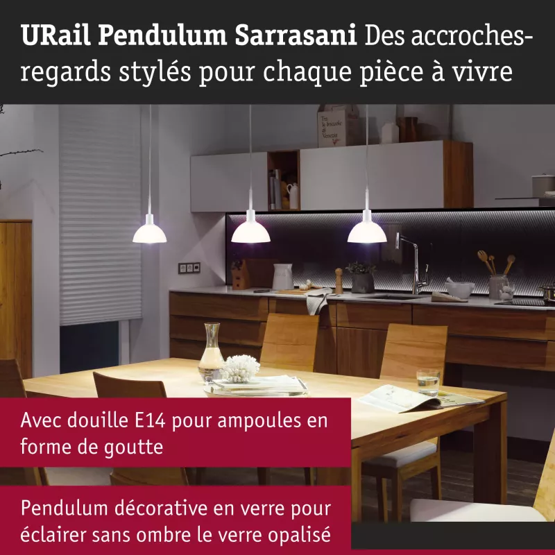 URail Suspension Sarrasani E14 max. 20W gradable 230V PAULMANN 38 - Cimaise Tableau 