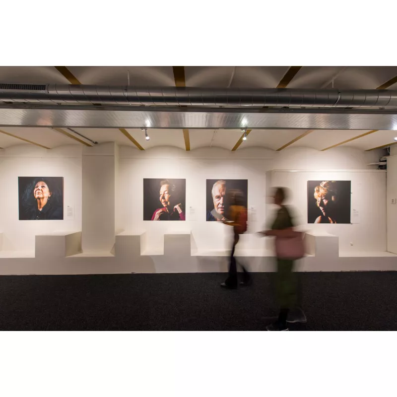 Click rail pro 50 kg + Clips - artiteq para colgar cuadros ARTI TEQ 17 - Cimaise Tableau 