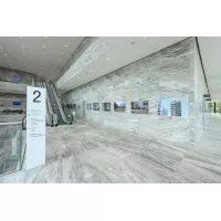 Click rail pro 50 kg + Clips - artiteq para colgar cuadros ARTI TEQ 2 - Cimaise Tableau 