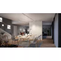 URail Paulmann - Iluminación para Cuadros en Riel de Techo PAULMANN 20 - Cimaise Tableau 