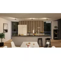 Connecteur d'alimentation URail central ou d'extrémité Paulmann PAULMANN 9 - Cimaise Tableau 