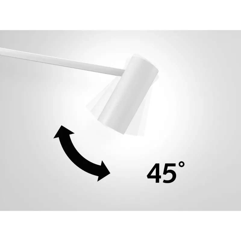 Spot Luminaire Beam pour Illume Duo (30 cm) Artiteq 16 - Cimaise Tableau 