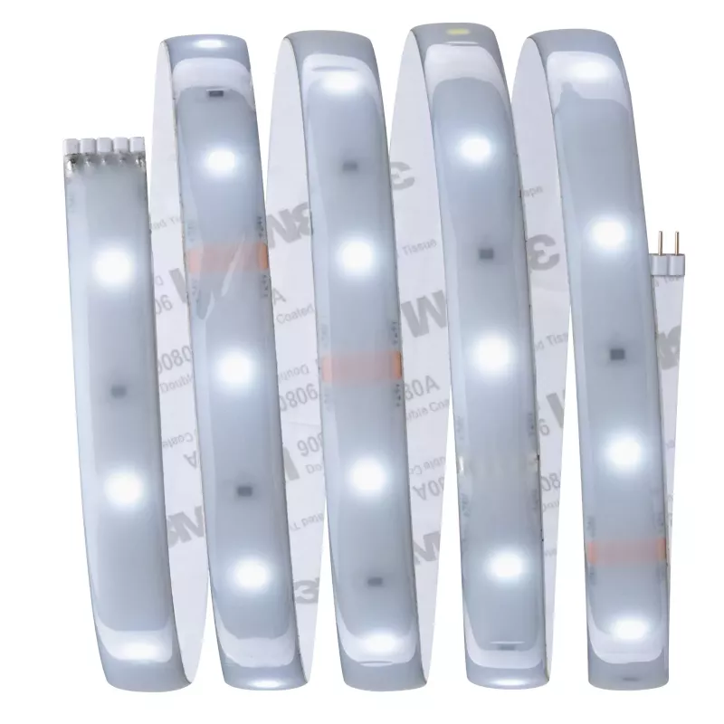Tira LED MaxLED 250 - Kit básico - 6500k - Recubierta - IP44 - système d'accrochage et décoration
