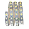 MaxLED 500 LED Streifen – Verlängerung – – Einstellbares Weiß PAULMANN 9 - Cimaise Tableau 