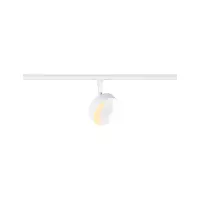 URail Spot an der Circle Rail PAULMANN 2 - Cimaise Tableau 