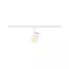 URail Track Spot 3-Step-Dim Circle PAULMANN 13 - Cimaise Tableau 
