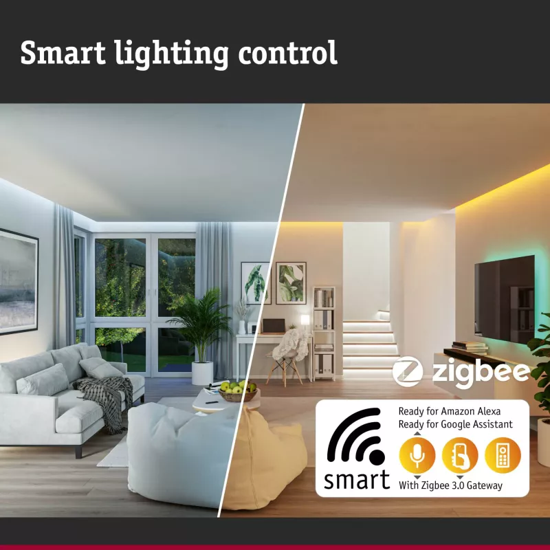 Télécommande Smart Home Zigbee 3.0 PAULMANN 11 - Cimaise Tableau 
