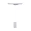 ProRail3 - Lámpara colgante Kratos 1000lm 9W 3000K 230V - Paulmann PAULMANN 1 - Cimaise Tableau 