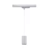 ProRail3 - Kratos pendant light 1000lm 9W 3000K 230V - Paulmann PAULMANN 2 - Cimaise Tableau 