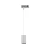 ProRail3 - Suspension Kratos 1000lm 9W 3000K 230V - Paulmann PAULMANN 4 - Cimaise Tableau 