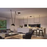 ULine - Paulmann 300mm 12W Schwarze LED -Schalen-Pendelleuchte - système d'accrochage et décoration - détail 9
