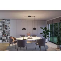 ULine - Paulmann 300mm 12W Schwarze LED -Schalen-Pendelleuchte - système d'accrochage et décoration - détail 10