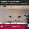ULine - Accessoires Sangle de suspension 45x21mm Noir - Paulmann PAULMANN 3 - Cimaise Tableau 