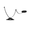 ULine - Sangle - Paulmann PAULMANN 1 - Cimaise Tableau 