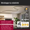 Linion - Alimentation électrique Power Channel - Paulmann PAULMANN 9 - Cimaise Tableau 