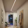 Linion - Canal lumineux - Paulmann PAULMANN 12 - Cimaise Tableau 