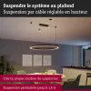 Linion - Cable Suspension Accessories - Paulmann PAULMANN 5 - Cimaise Tableau 