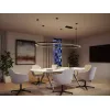 Linion - Accesorios para sistemas de suspensión por cable - Paulmann PAULMANN 10 - Cimaise Tableau 