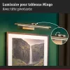 Mingo 3000K LED -Bilderleuchte - Paulmann PAULMANN 3 - Cimaise Tableau 