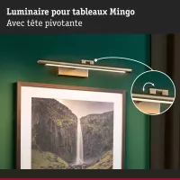 Mingo 3000K LED Picture Light - Paulmann - système d'accrochage et décoration - détail 3