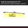 Mingo 3000K LED Picture Light - Paulmann PAULMANN 5 - Cimaise Tableau 