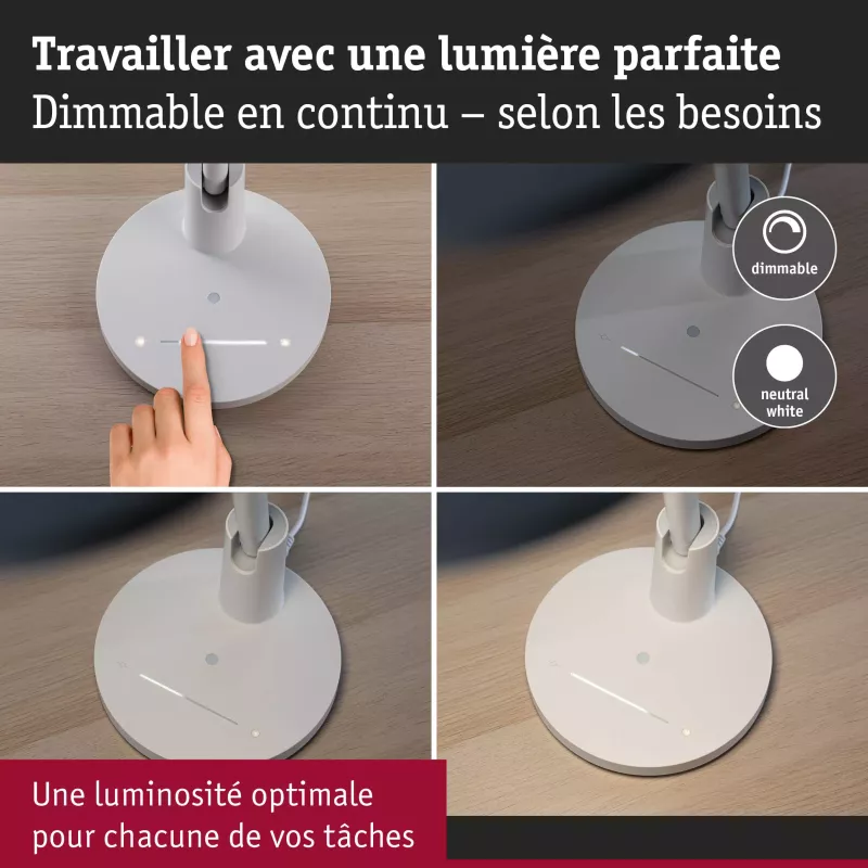 Lampe de bureau LED Darba 4000K 1150lm 15W Blanc dépoli - Paulmann