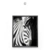Uniq Hanger ARTI TEQ 1 - Cimaise Tableau 