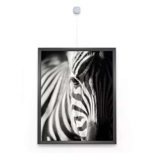 Uniq Hanger ARTI TEQ 1 - Cimaise Tableau 