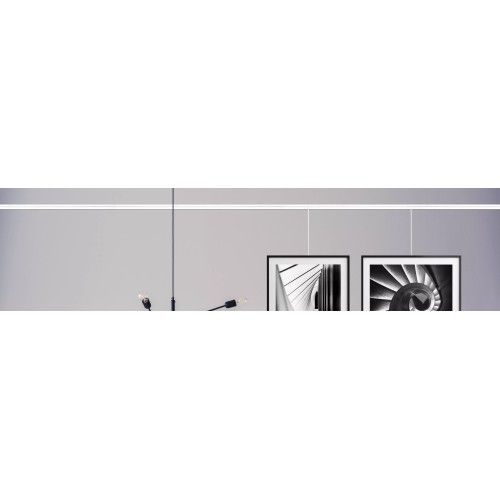 Binario a gancio classico 20 KG