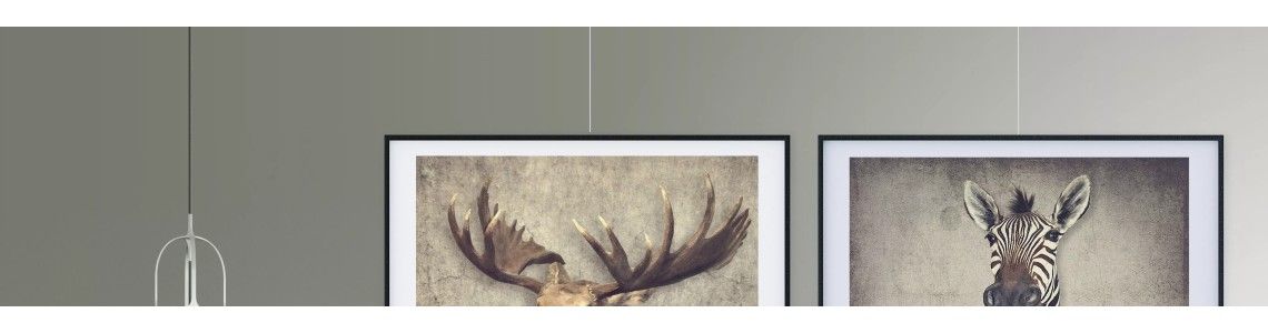 classic chair rail + RAIL - 100 Kg / m