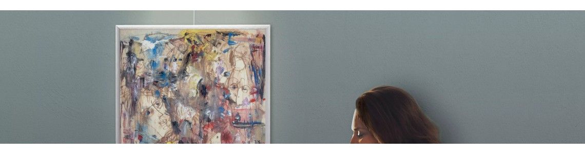 Riel para cuadros Combi Pro Light - 50 kg/ m