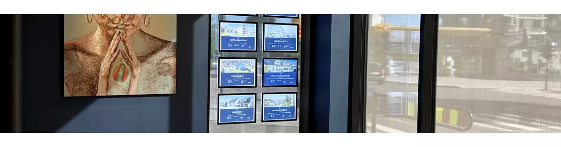 Camera system for VITRINE