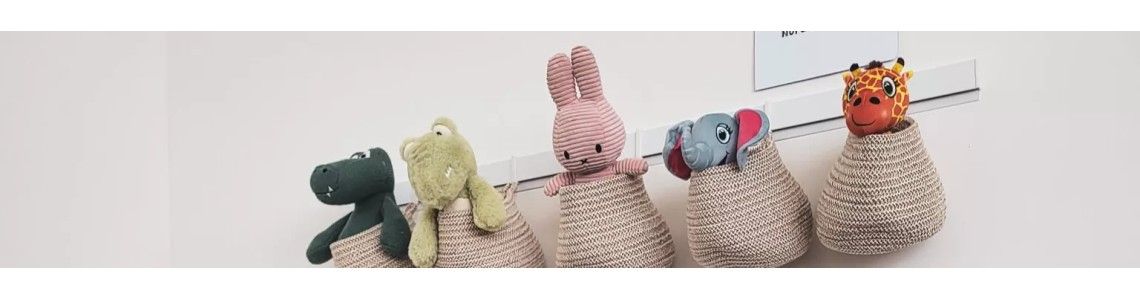 Newly R50 Bilderschiene