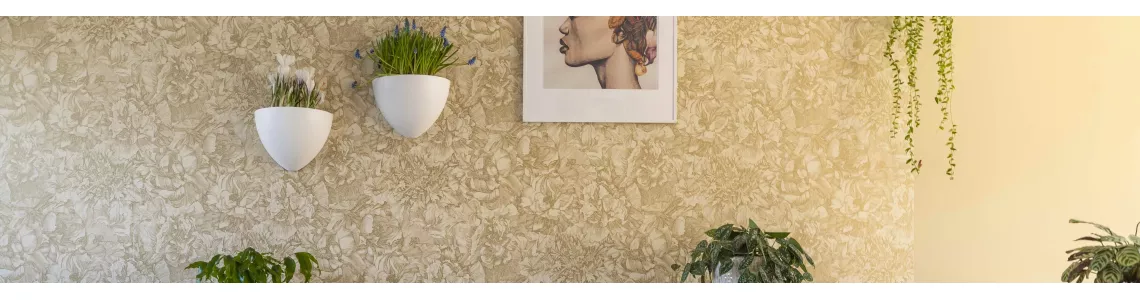 Pacco sedia Click up 20 kg / m