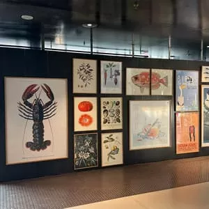 crochets pour parois de séparation